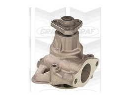 WATER POMP BETA MONTECARLO