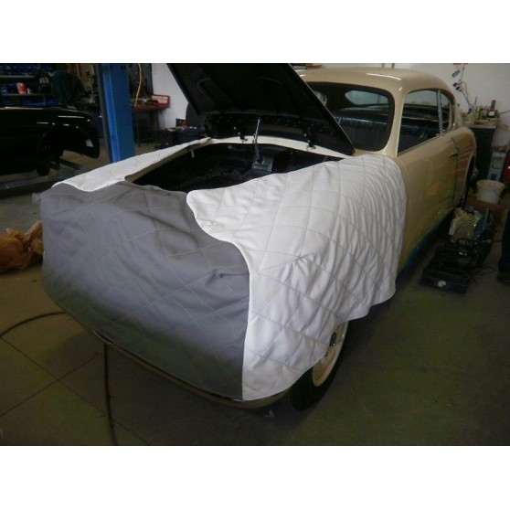 TELO PROTEGGI AUTO AURELIA