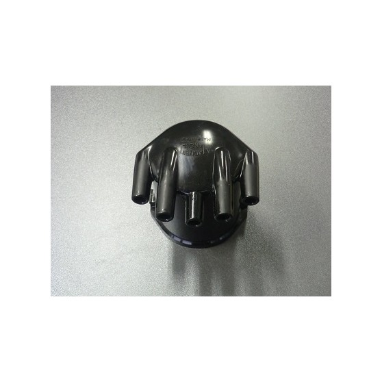 CALOTTA SPINTEROGENO FLAVIA