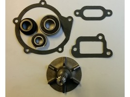 KIT POMPA ACQUA FLAMINIA