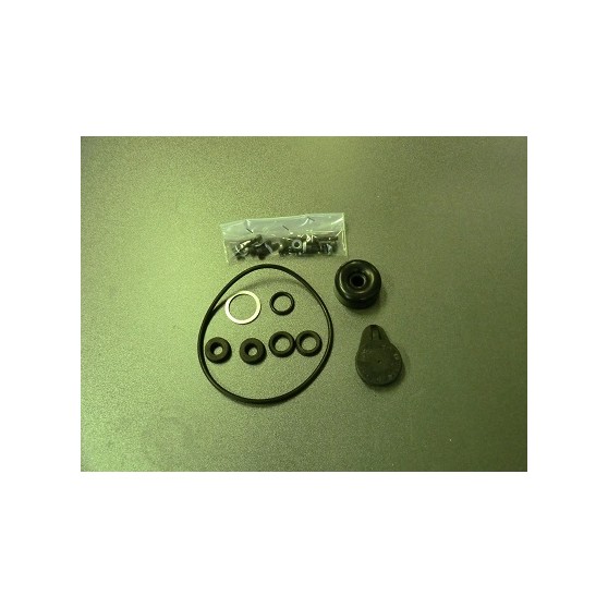 KIT REVISIONE POMPA FRENI 19 MM FULVIA