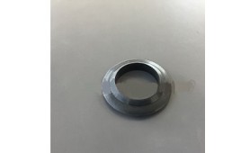 GUARNIZIONE PIANTONE STERZO per Flaminia