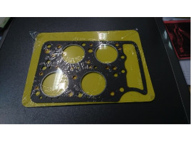 GUARNIZIONE TESTA ARDEA