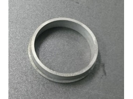 PARAOLIO POSTERIORE ARDEA