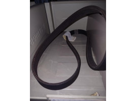 CINGHIA SERVIZI DELTA