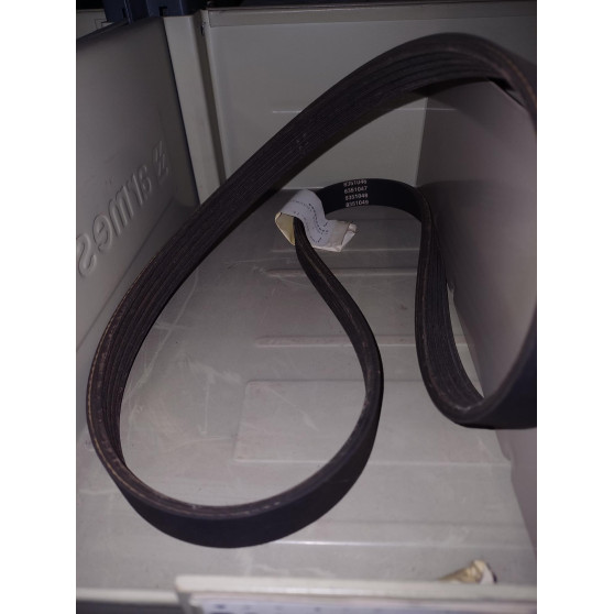 CINGHIA SERVIZI DELTA