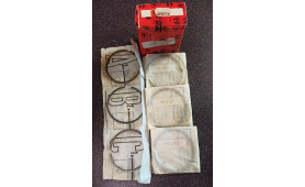 FASCE ELASTICHE  DELTA INTEGRALE EVOLUZIONE BETA