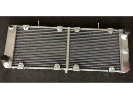 RADIATORE BETA MONTECARLO