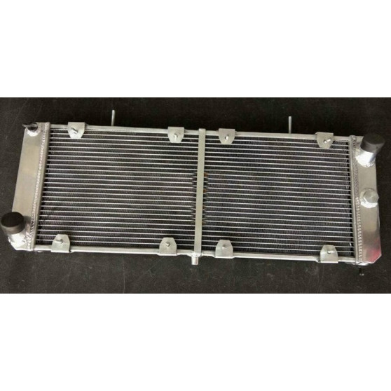 RADIATORE BETA MONTECARLO