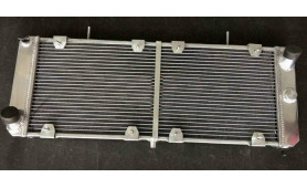 RADIATORE BETA MONTECARLO