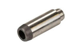 GUIDAVALVOLA BETA  MONTECARLO