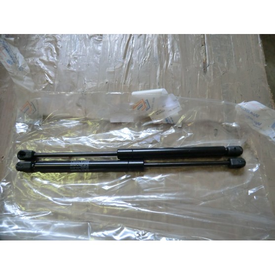 AMMORTIZZATORI BAULE THEMA